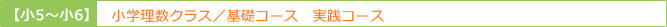 小学生理数クラス　基礎コース　実践コース